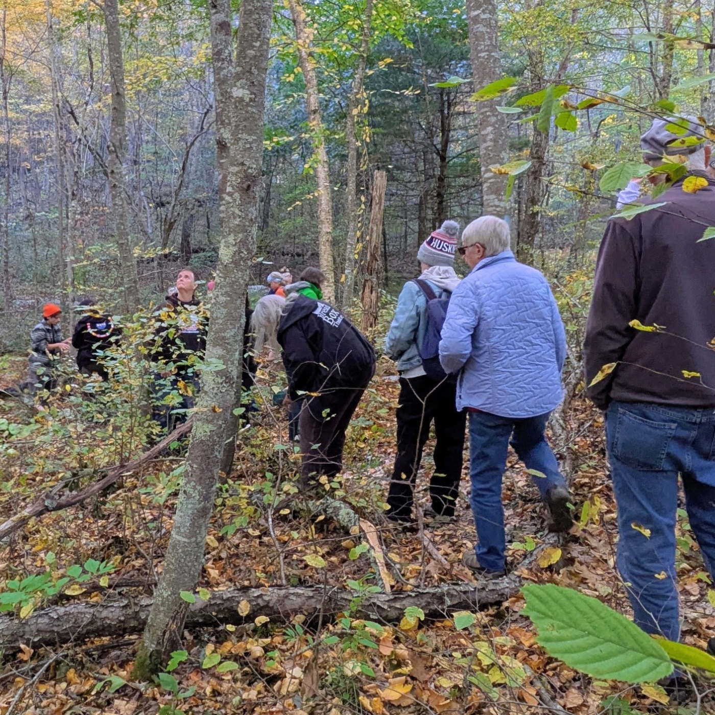 Group of people hiking in woods