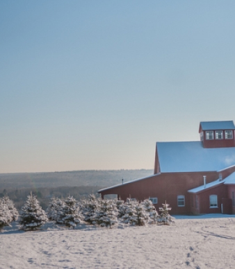 Allen Hill Farm