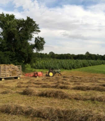 DeMaria Family Farm