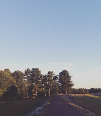 Mansfield Hollow State Park