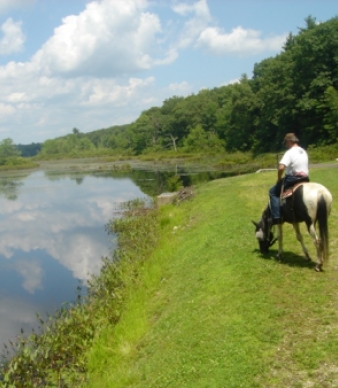 Natchaug State Forest