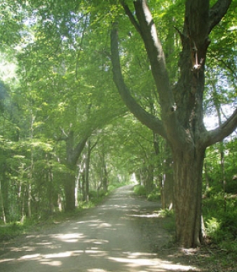 Brainard Homestead State Park