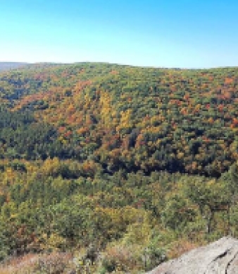 American Legion State Forest