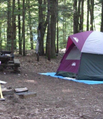 American Legion State Forest Campground