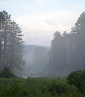 Beaver Brook State Park