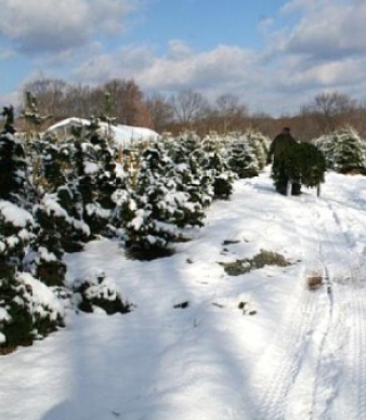 Broken Arrow Nursery