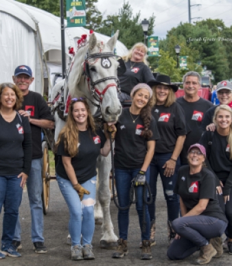 Connecticut Draft Horse Rescue