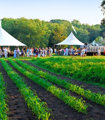 Dinners at the Farm