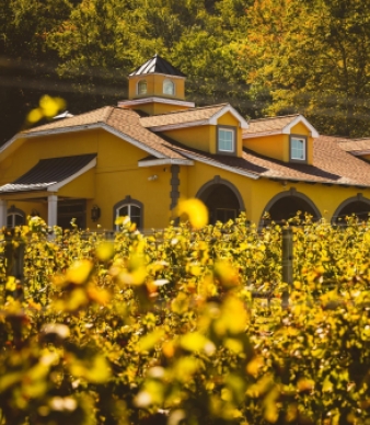 Paradise Hills Vineyard &amp; Winery