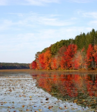 James L. Goodwin State Forest