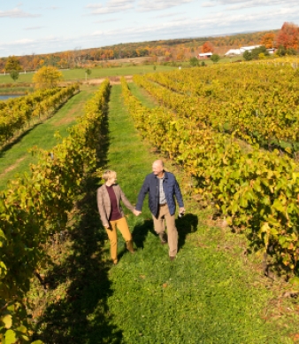Gouveia Vineyards