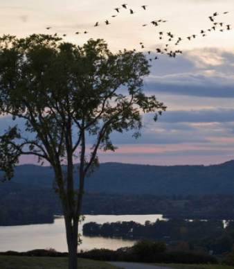 Lake Waramaug State Park Campground