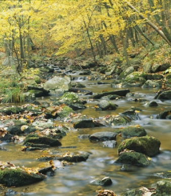 Macedonia Brook State Park Campground