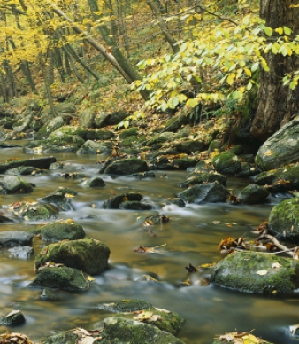 Macedonia Brook State Park