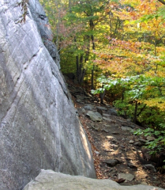 Nipmuck State Forest