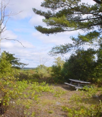 Pachaug State Forest Campgrounds