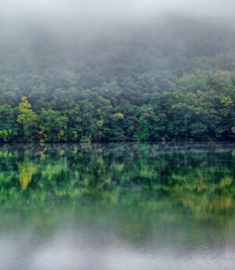 Paugussett State Forest