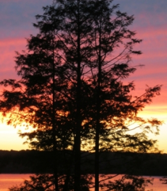 Laurel Lock Family Campground