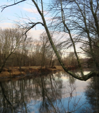 Potter Meadow Preserve