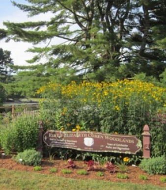 Ruby and Elizabeth Cohen Woodlands