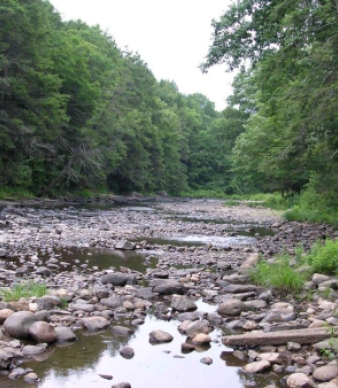 Salmon River State Forest