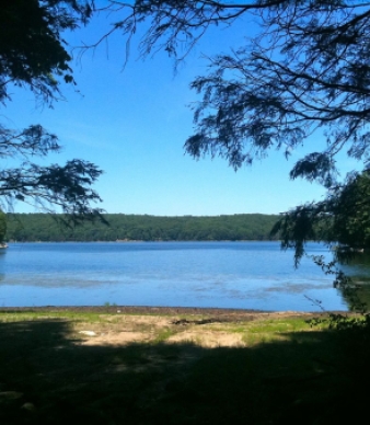 Centennial Watershed State Forest