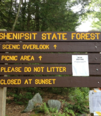 Shenipsit State Forest