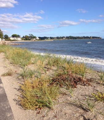 Southport Beach