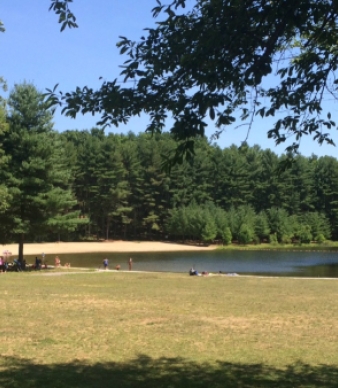 Stratton Brook State Park