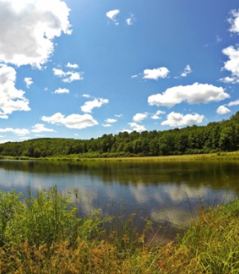 Sunnybrook State Park