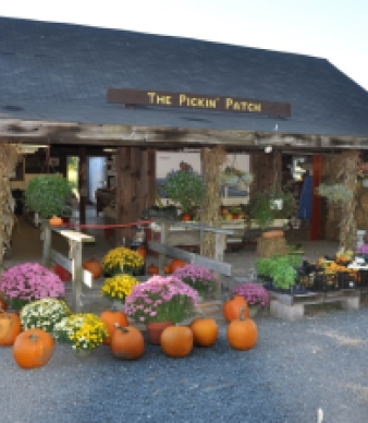 The Pickin Patch at Woodford Farm