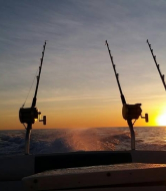 Wild Bills Action Sports &amp; Sara J Charters