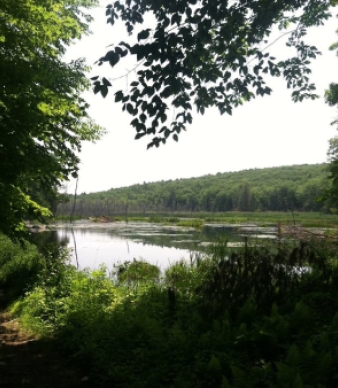 Beaver Pines Campground