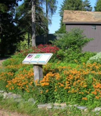 Belden Wildlife Management Area
