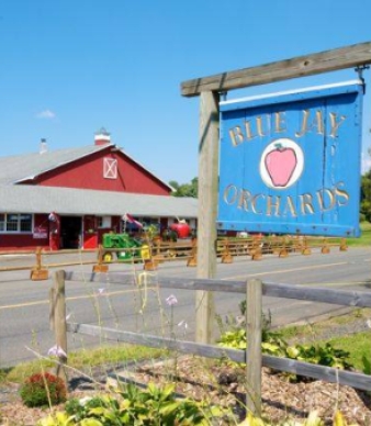 Blue Jay Orchards