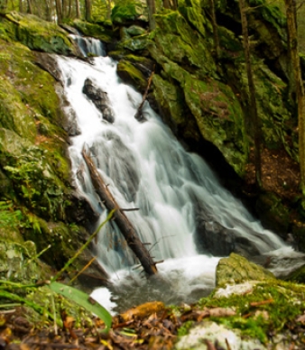 Mattatuck State Forest