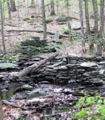 Utley Hill Preserve
