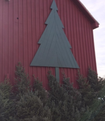 Reneson&#039;s Christmas Tree Farm