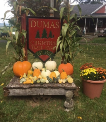 Dumas Tree Farm