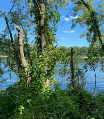 Windsor Meadows State Park