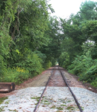 Haddam Meadows State Park