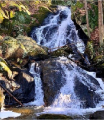 Waterfall cascading over moss-covered rocks in a forested area