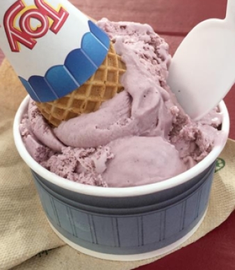 Riverview Ice Cream
