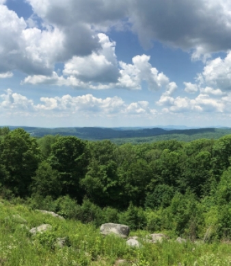 Wyantenock State Forest