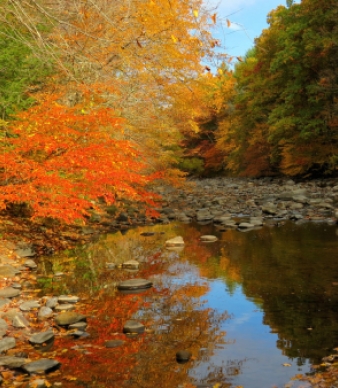 Hidden Valley Preserve