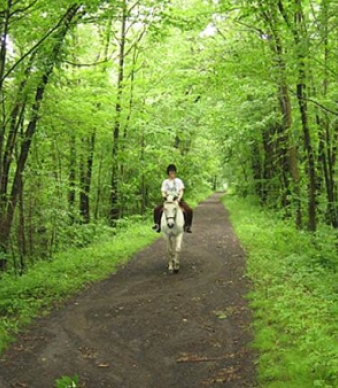 Larkin State Park Trail