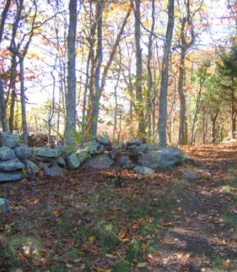 The Merritt Family Forest