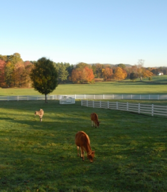 New Pond Farm Education Center