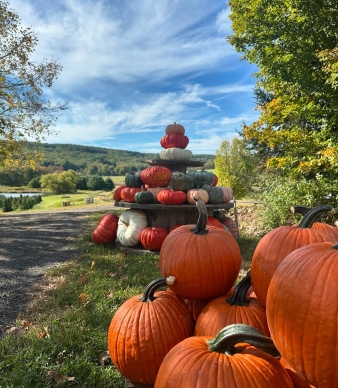 Angevine Farm