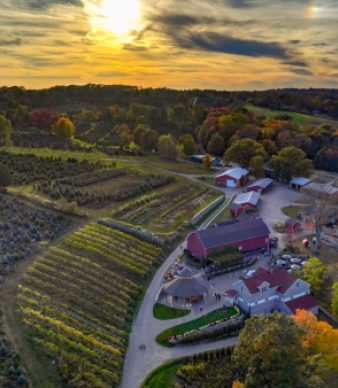 Jones Family Farms